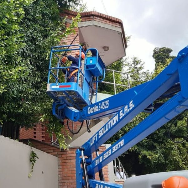 servicios forestales